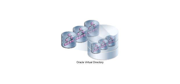 Technical illustration showing Oracle Virtual Directory