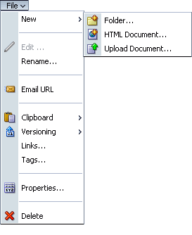 Document Library File menu