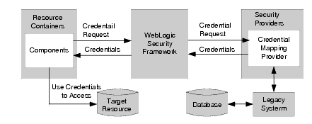 Credential Mapping Process