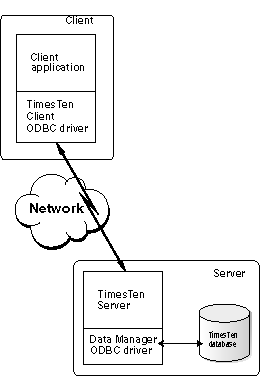 Diagram of TimesTen client and server