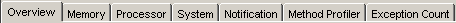  Information Tabs (Developer Mode)