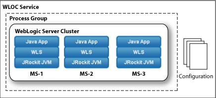 Defining a Service—Cluster of WebLogic Server Instances