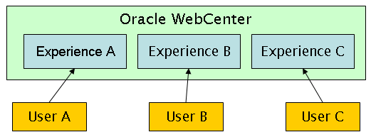 Single Portal with Multiple Experience Definitions