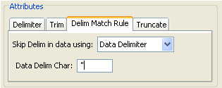 Data Delimiter