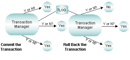 Transaction Manager Servers at Work