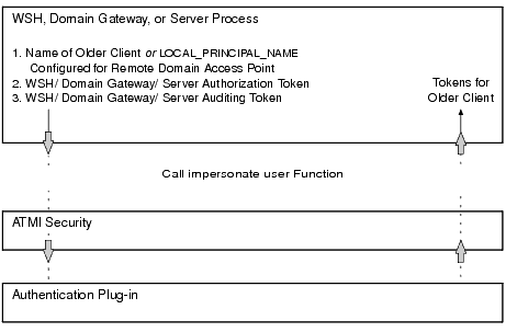 Obtaining Authorization and Auditing Tokens for an Older Client