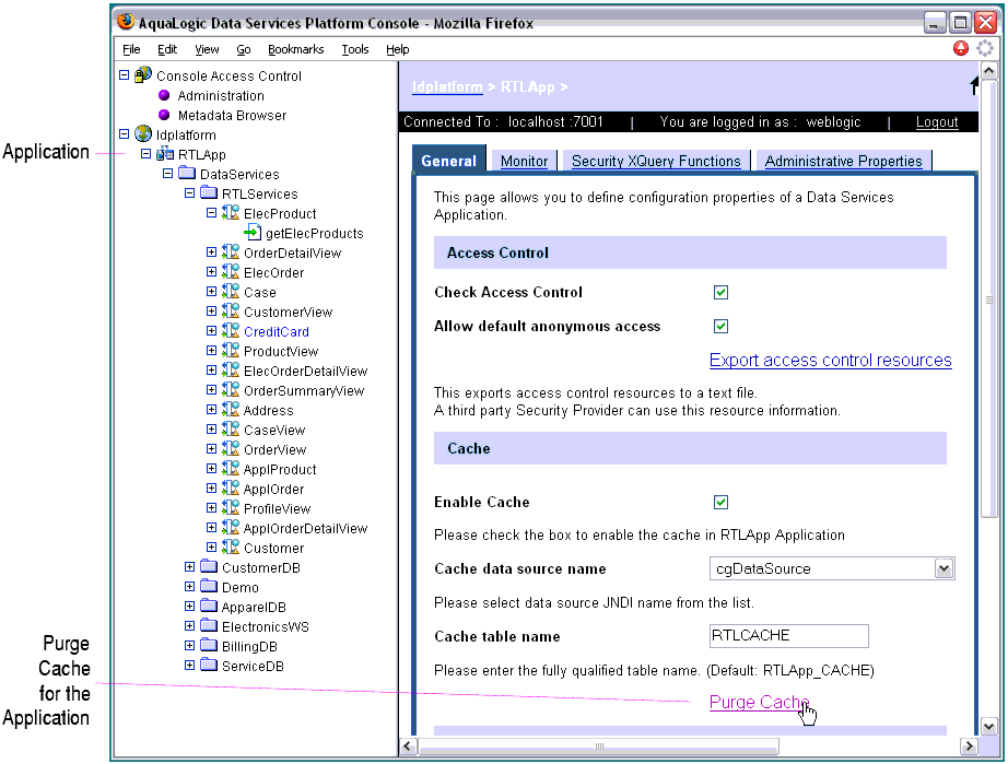 Purging the Cache for an Application