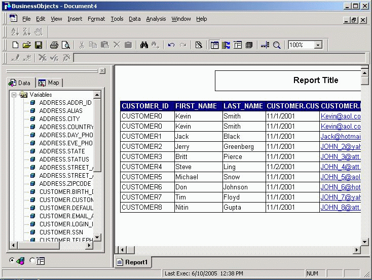 Business Objects Report