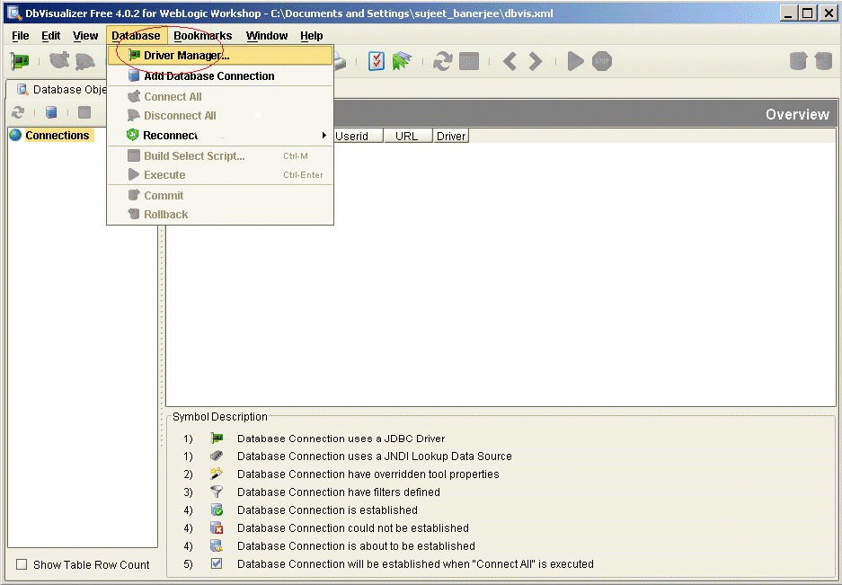 DbVisualizer View of DSP