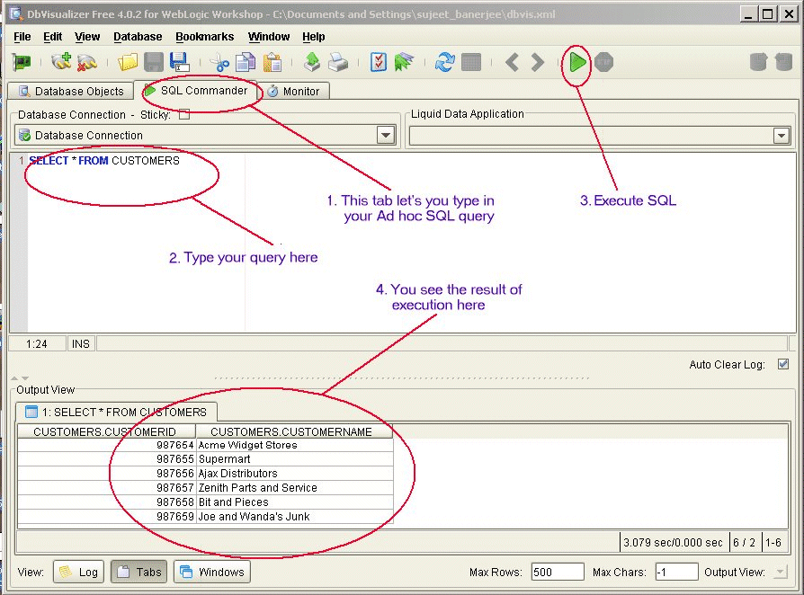 DbVisualizer View of DSP