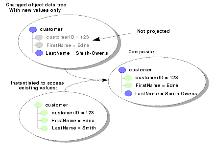 Projected Data Objects 