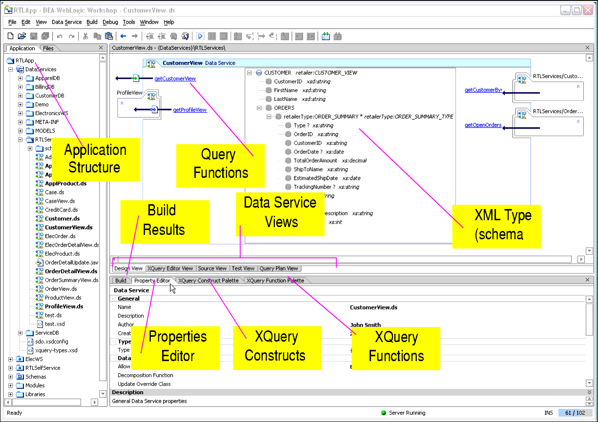 Application Tab of a New Data Services Platform Application 