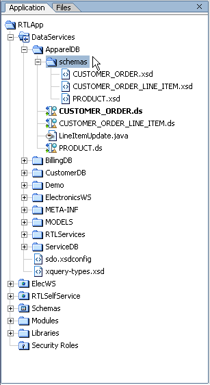 DSP Application Pane Displaying a Data Service and Its Schema Directory
