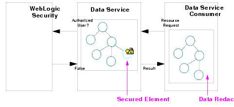 Data Redaction 