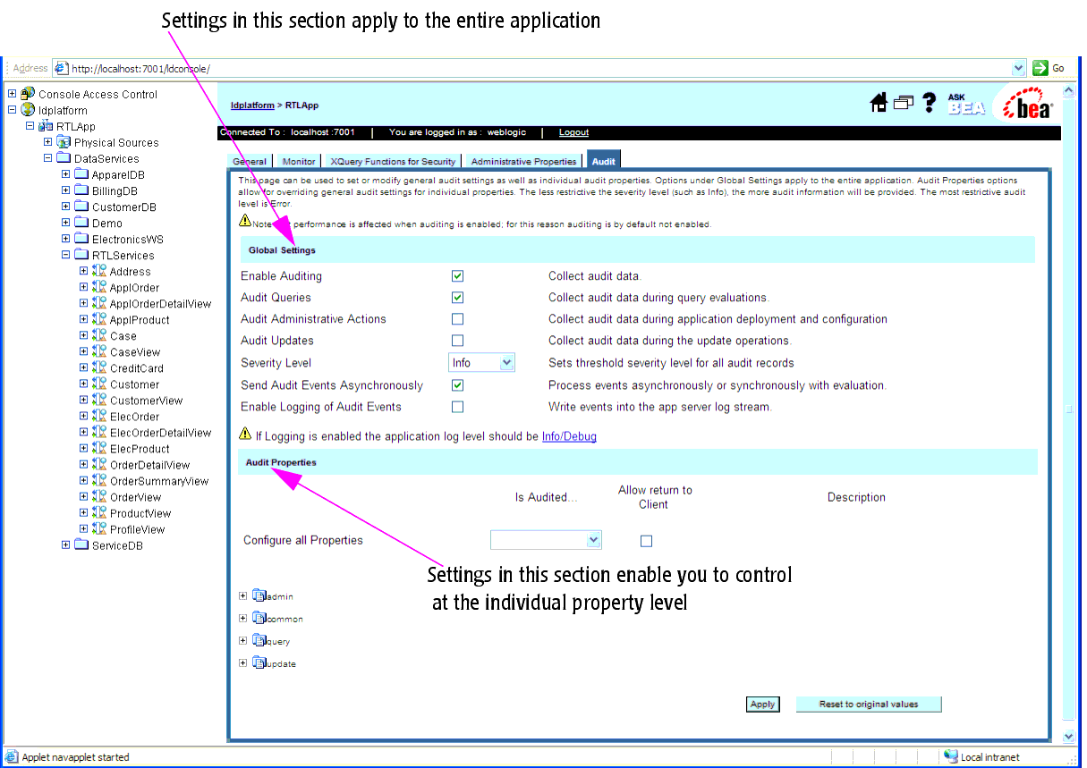 Auditing Options