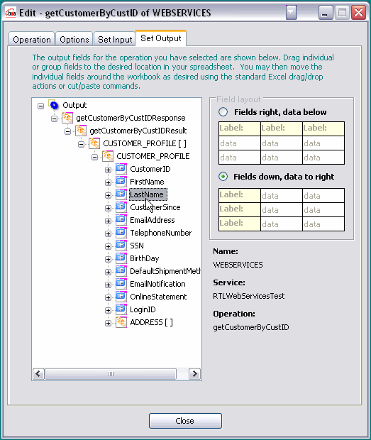 Selecting a Field for Display in Excel