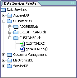 Data Services Palette