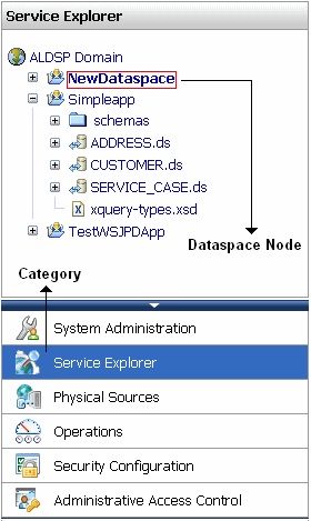 Selecting the Service Explorer Category