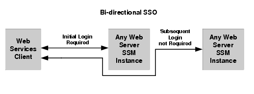 Web Server SSM to Web Server SSM Single Sign-on