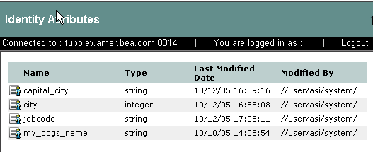 Identity Attributes Representation in the Administration Console