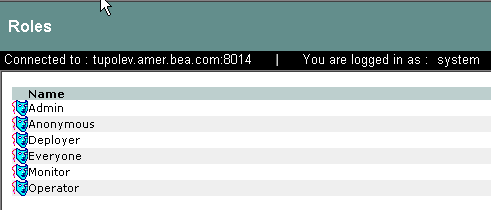 Roles Representation in the Administration Console