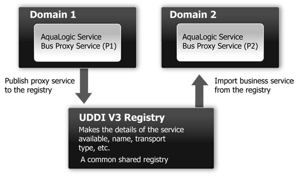 Sample Business Case of Cross Domain Deployment