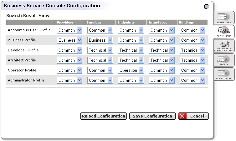 Business Service Console Configuration - Search Result View