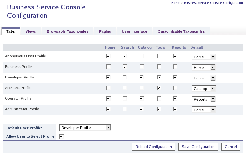 Business Service Console Configuration - Tabs Displayed