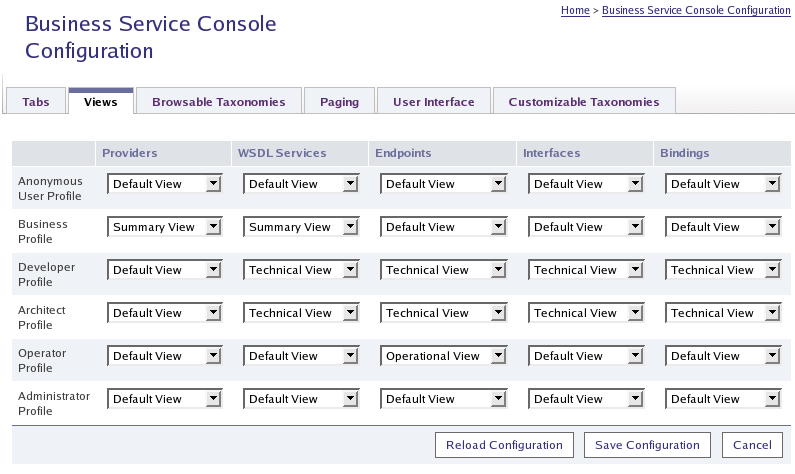 Business Service Console Configuration - Search Result View