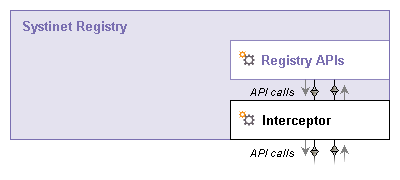 Registry Interceptors