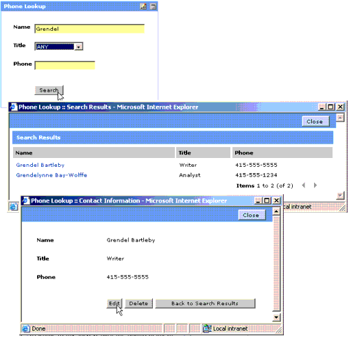 Record Lookup Portlet: Record Search Form, Search Results Page and Detail Pane