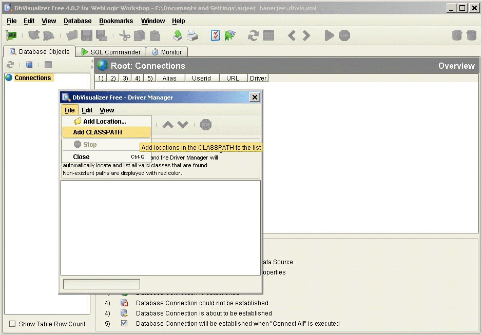 DbVisualizer View of Liquid Data