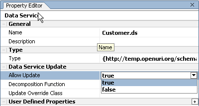 Data Service Properties