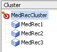 Assign Managed Servers to MedRecCluster