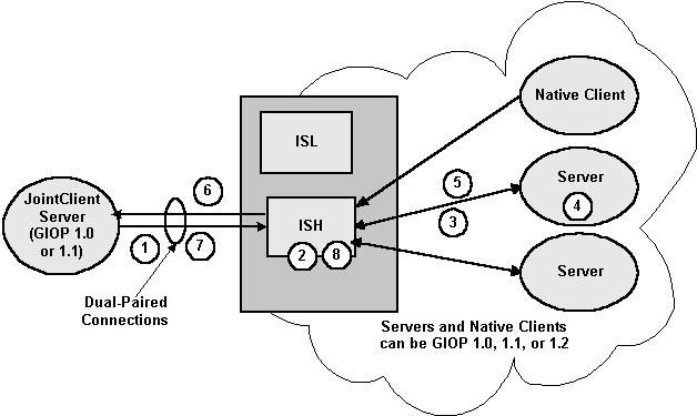 Dual-paired Connections Outbound IIOP