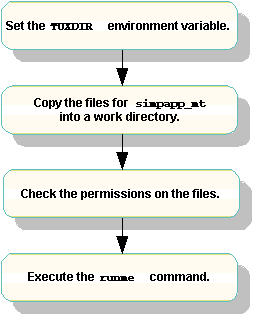 Process for Building and Running simpapp_mt