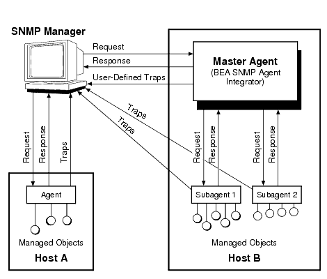 SNMP Manager/Agent Model