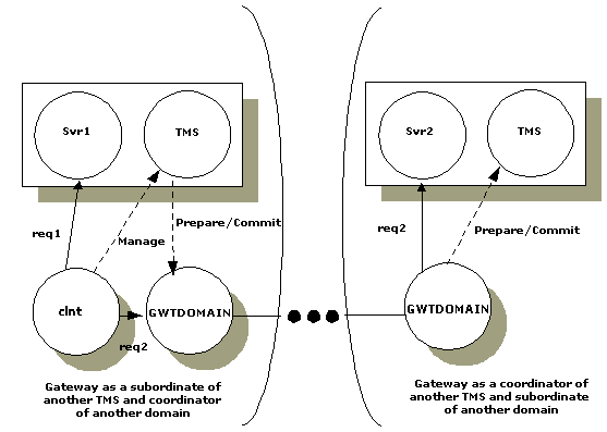 The Domain Gateway as Subordinate/Coordinator of Another Domain Gateway Group