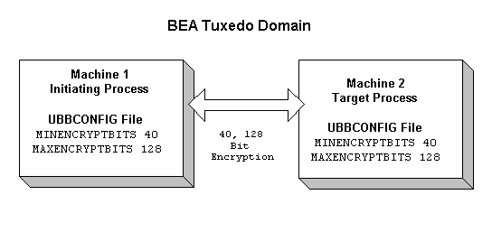 How LLE Works