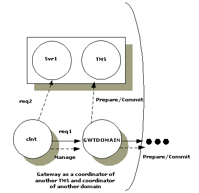 Client Commit Managed by a Domain Gateway