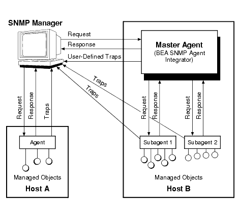 SNMP Manager/Agent Model