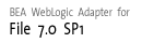 File 7.0 SP1