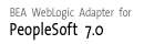 PeopleSoft 7.0