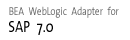 SAP 7.0