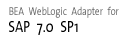 SAP 7.0 SP1