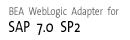 SAP 7.0 SP2