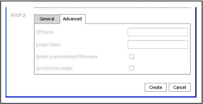 Insert TIBCO RV Control Dialog - Step 3: Advanced Settings 