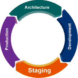 Staging Phase of the Portal Life Cycle
