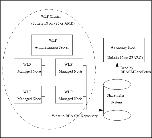 Example Remote Autonomy Installation on a non-WebLogic Portal supported operating system.