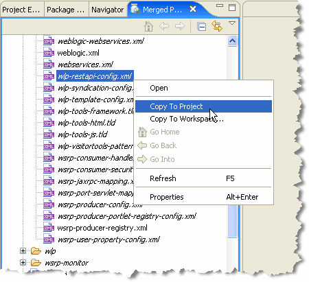 Selecting the REST Config File 